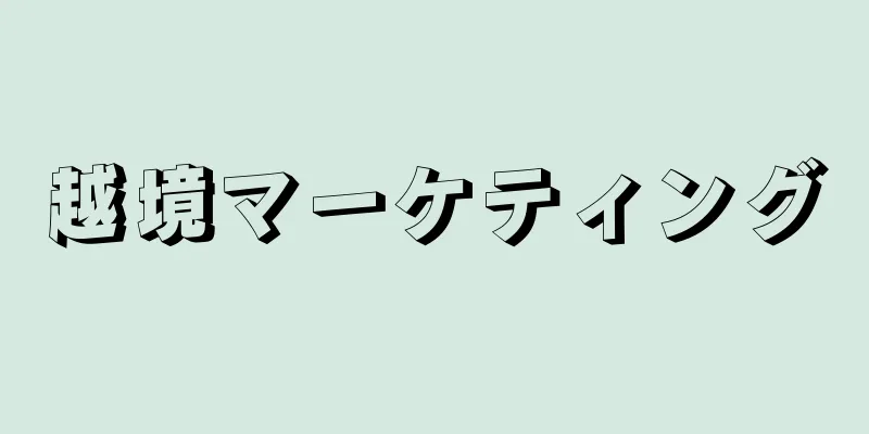 越境マーケティング