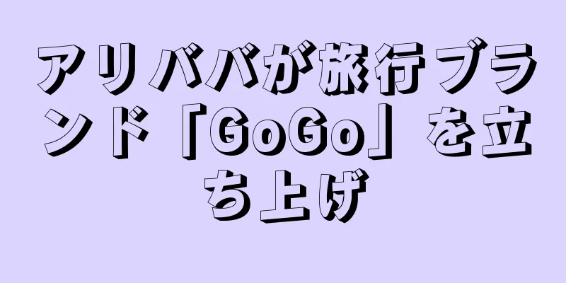 アリババが旅行ブランド「GoGo」を立ち上げ
