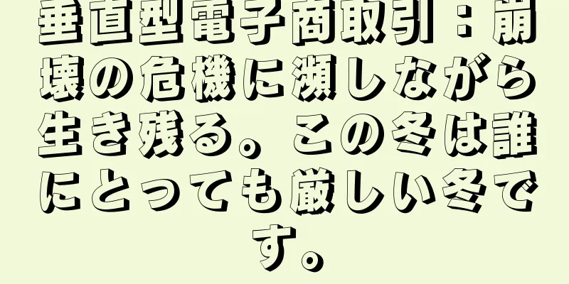 垂直型電子商取引：崩壊の危機に瀕しながら生き残る。この冬は誰にとっても厳しい冬です。