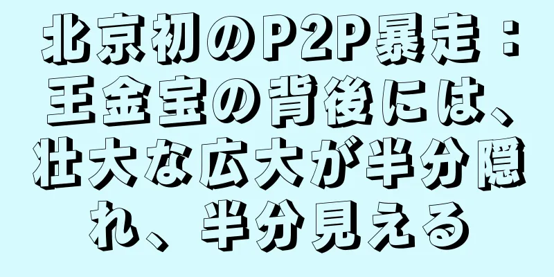 北京初のP2P暴走：王金宝の背後には、壮大な広大が半分隠れ、半分見える