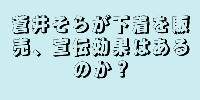 蒼井そらが下着を販売、宣伝効果はあるのか？