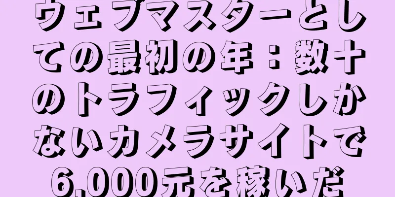 ウェブマスターとしての最初の年：数十のトラフィックしかないカメラサイトで6,000元を稼いだ