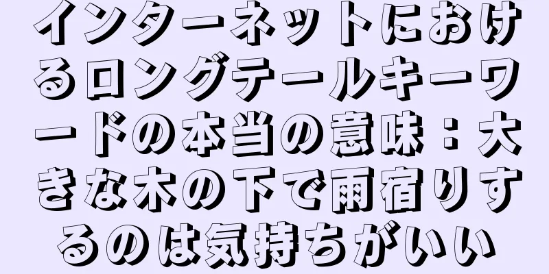 インターネットにおけるロングテールキーワードの本当の意味：大きな木の下で雨宿りするのは気持ちがいい