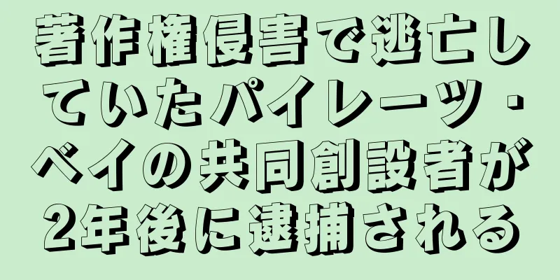 著作権侵害で逃亡していたパイレーツ・ベイの共同創設者が2年後に逮捕される