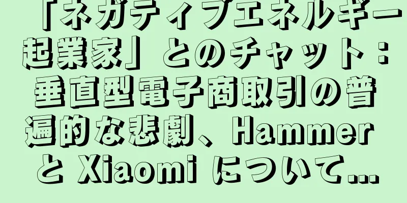 「ネガティブエネルギー起業家」とのチャット：垂直型電子商取引の普遍的な悲劇、Hammer と Xiaomi について...