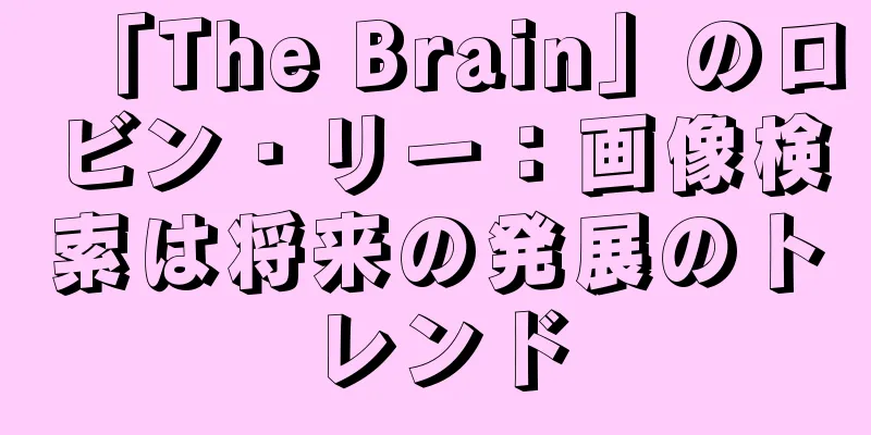 「The Brain」のロビン・リー：画像検索は将来の発展のトレンド