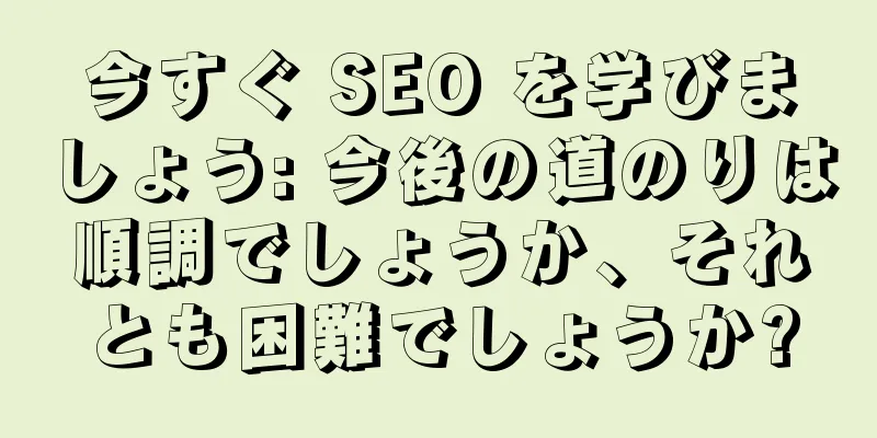 今すぐ SEO を学びましょう: 今後の道のりは順調でしょうか、それとも困難でしょうか?