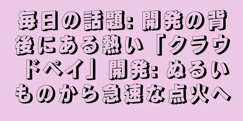 毎日の話題: 開発の背後にある熱い「クラウドペイ」開発: ぬるいものから急速な点火へ