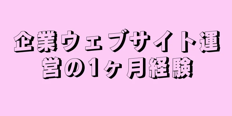 企業ウェブサイト運営の1ヶ月経験