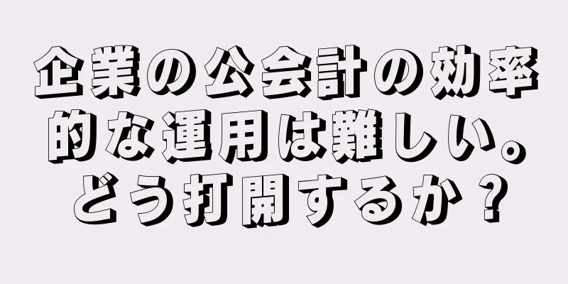 企業の公会計の効率的な運用は難しい。どう打開するか？