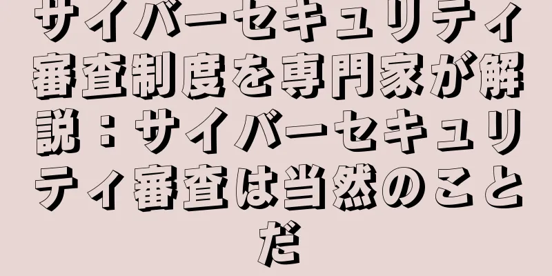 サイバーセキュリティ審査制度を専門家が解説：サイバーセキュリティ審査は当然のことだ