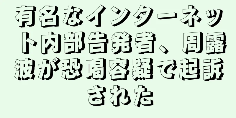 有名なインターネット内部告発者、周露波が恐喝容疑で起訴された
