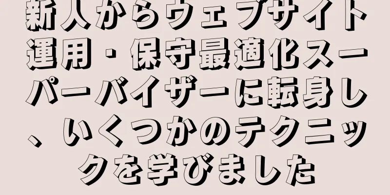 新人からウェブサイト運用・保守最適化スーパーバイザーに転身し、いくつかのテクニックを学びました