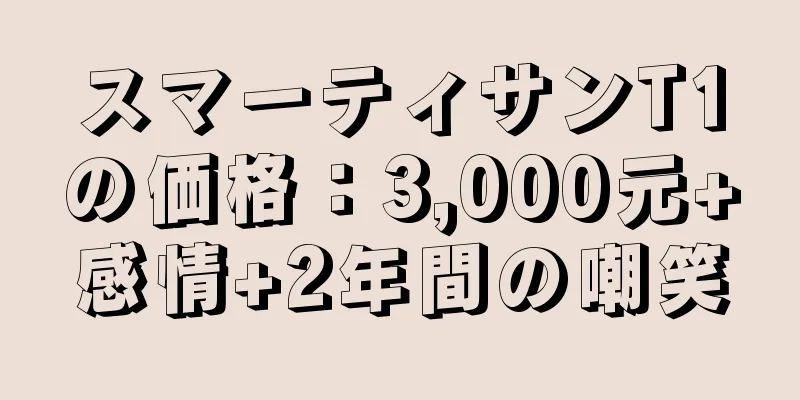 スマーティサンT1の価格：3,000元+感情+2年間の嘲笑
