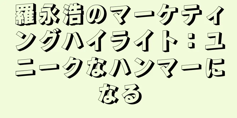 羅永浩のマーケティングハイライト：ユニークなハンマーになる