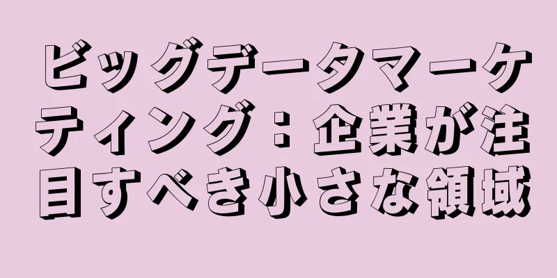 ビッグデータマーケティング：企業が注目すべき小さな領域