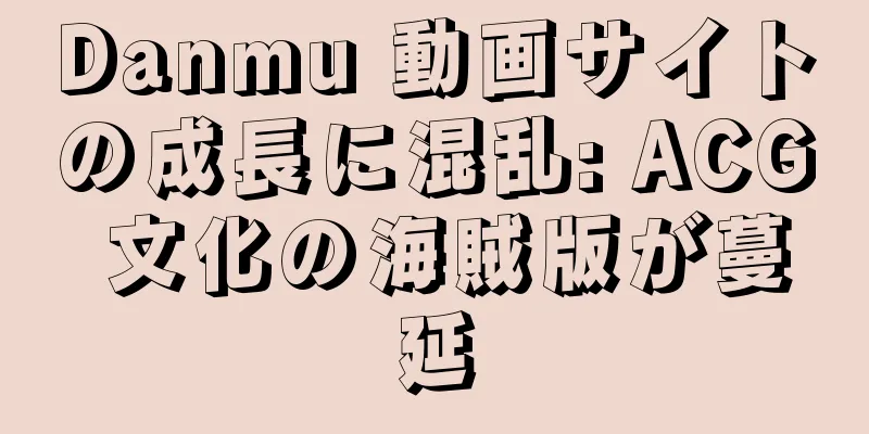 Danmu 動画サイトの成長に混乱: ACG 文化の海賊版が蔓延