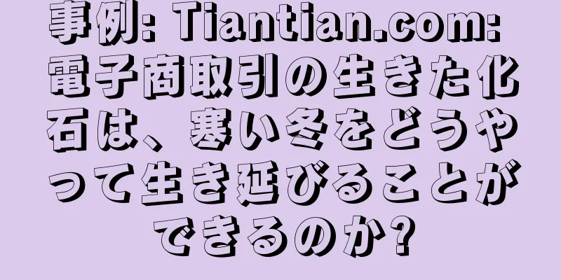 事例: Tiantian.com: 電子商取引の生きた化石は、寒い冬をどうやって生き延びることができるのか?