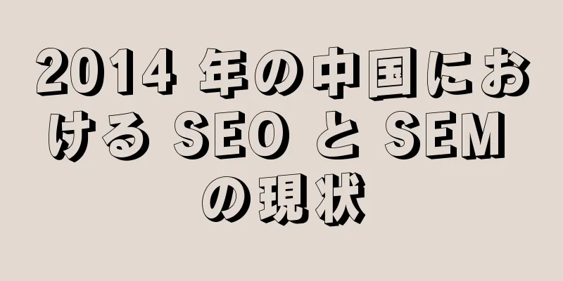 2014 年の中国における SEO と SEM の現状