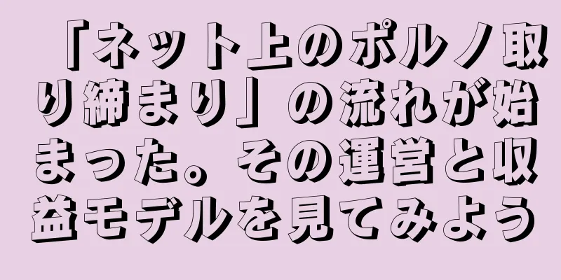 「ネット上のポルノ取り締まり」の流れが始まった。その運営と収益モデルを見てみよう