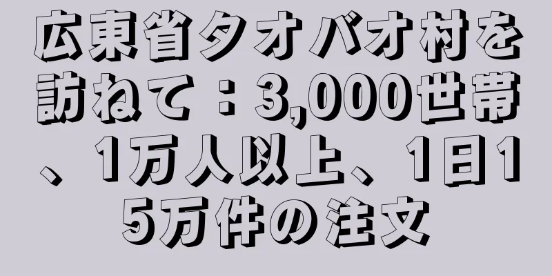 広東省タオバオ村を訪ねて：3,000世帯、1万人以上、1日15万件の注文