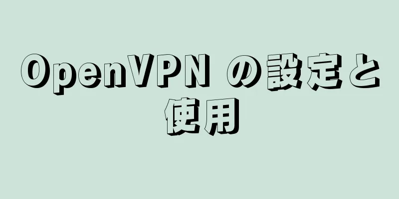 OpenVPN の設定と使用