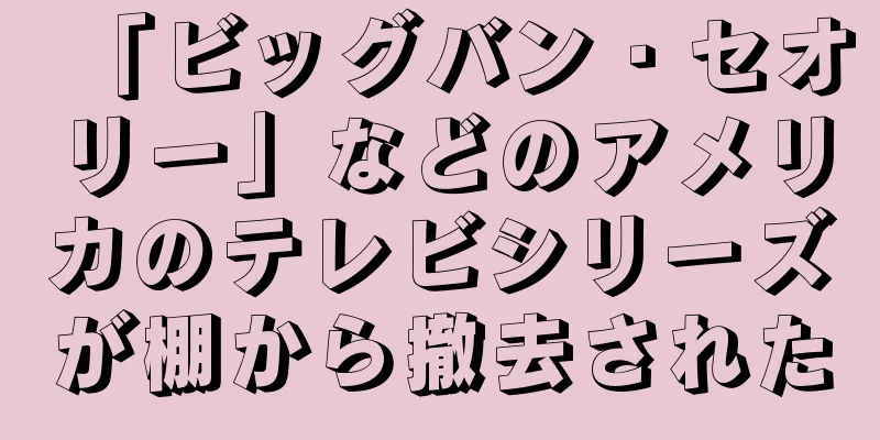 「ビッグバン・セオリー」などのアメリカのテレビシリーズが棚から撤去された
