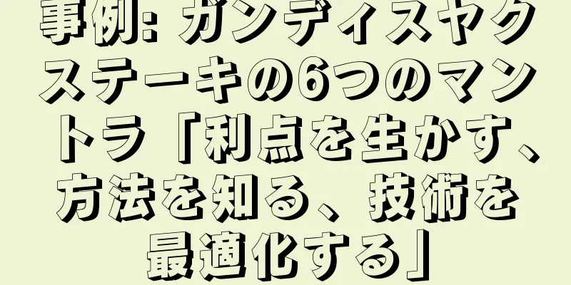 事例: ガンディスヤクステーキの6つのマントラ「利点を生かす、方法を知る、技術を最適化する」