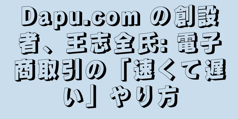 Dapu.com の創設者、王志全氏: 電子商取引の「速くて遅い」やり方