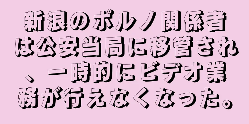 新浪のポルノ関係者は公安当局に移管され、一時的にビデオ業務が行えなくなった。