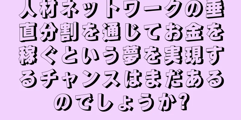 人材ネットワークの垂直分割を通じてお金を稼ぐという夢を実現するチャンスはまだあるのでしょうか?