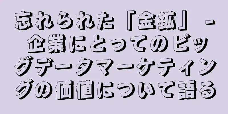 忘れられた「金鉱」 - 企業にとってのビッグデータマーケティングの価値について語る