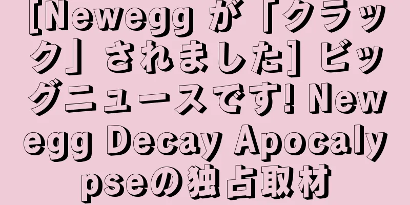 [Newegg が「クラック」されました] ビッグニュースです! Newegg Decay Apocalypseの独占取材