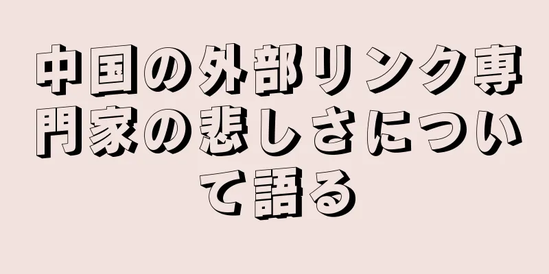 中国の外部リンク専門家の悲しさについて語る