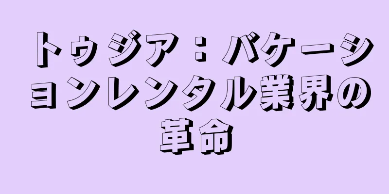 トゥジア：バケーションレンタル業界の革命