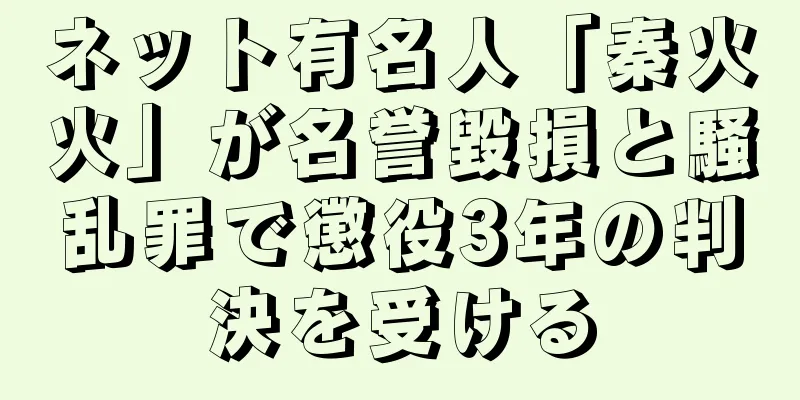 ネット有名人「秦火火」が名誉毀損と騒乱罪で懲役3年の判決を受ける