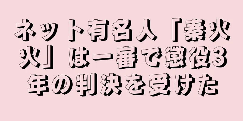 ネット有名人「秦火火」は一審で懲役3年の判決を受けた