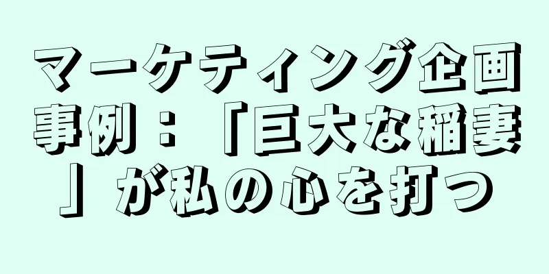 マーケティング企画事例：「巨大な稲妻」が私の心を打つ