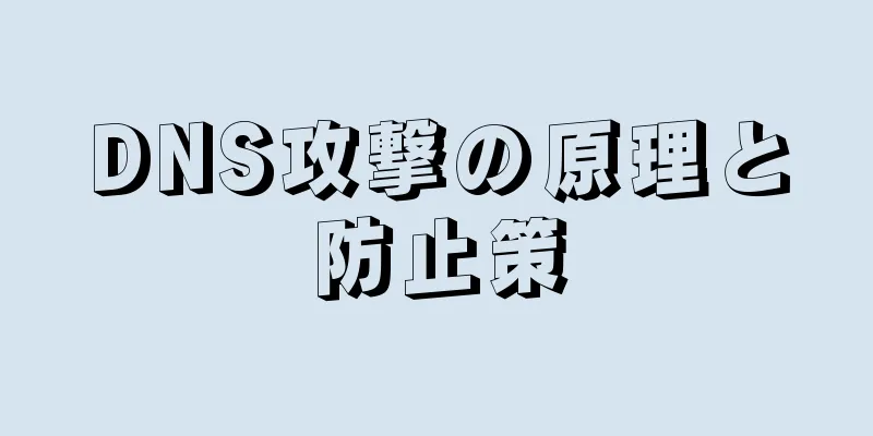 DNS攻撃の原理と防止策