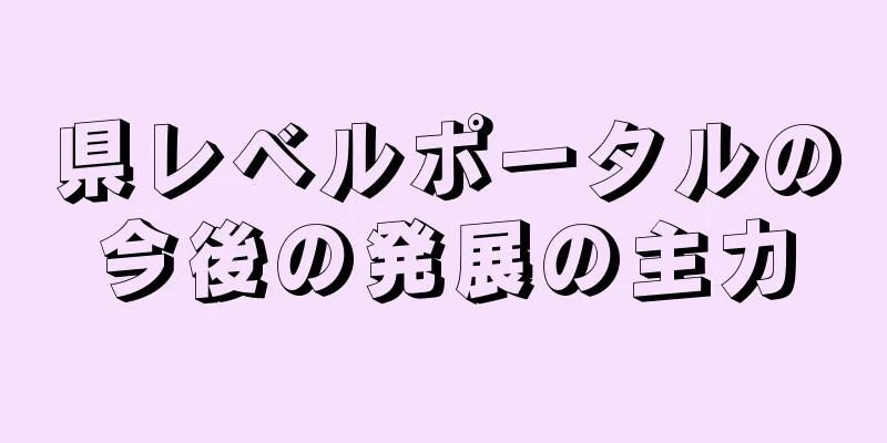 県レベルポータルの今後の発展の主力
