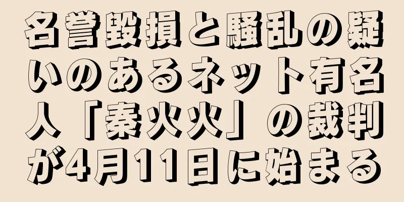 名誉毀損と騒乱の疑いのあるネット有名人「秦火火」の裁判が4月11日に始まる