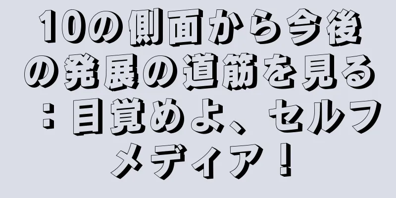 10の側面から今後の発展の道筋を見る：目覚めよ、セルフメディア！