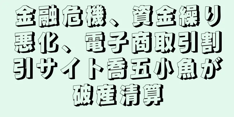 金融危機、資金繰り悪化、電子商取引割引サイト喬五小魚が破産清算
