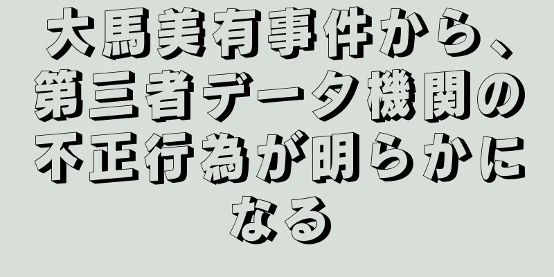 大馬美有事件から、第三者データ機関の不正行為が明らかになる
