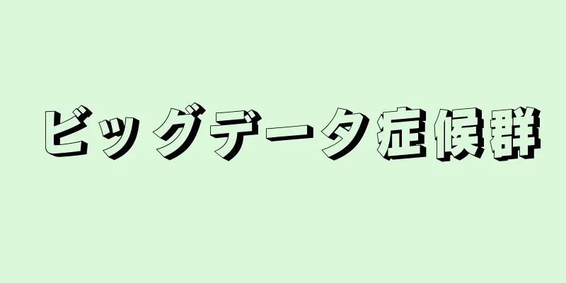 ビッグデータ症候群