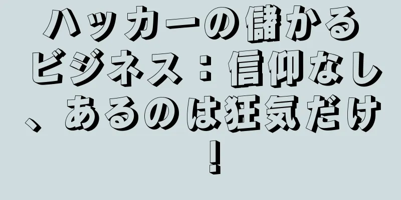 ハッカーの儲かるビジネス：信仰なし、あるのは狂気だけ！
