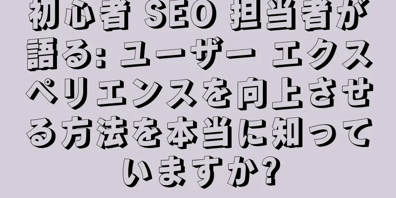 初心者 SEO 担当者が語る: ユーザー エクスペリエンスを向上させる方法を本当に知っていますか?