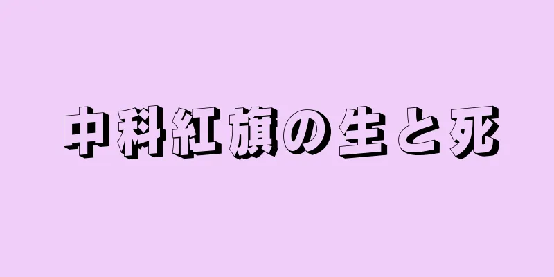 中科紅旗の生と死