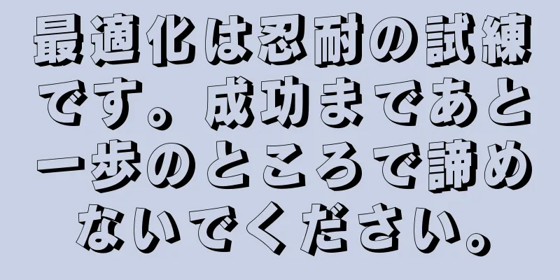 最適化は忍耐の試練です。成功まであと一歩のところで諦めないでください。