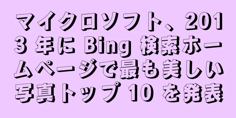マイクロソフト、2013 年に Bing 検索ホームページで最も美しい写真トップ 10 を発表
